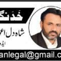 shah dil awan articles
