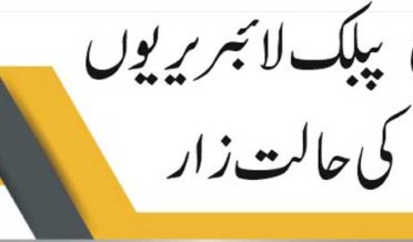 government public liberaries