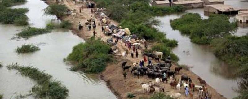 punjab flood pakistan