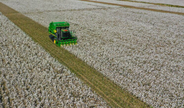 xinjiang province agriculture