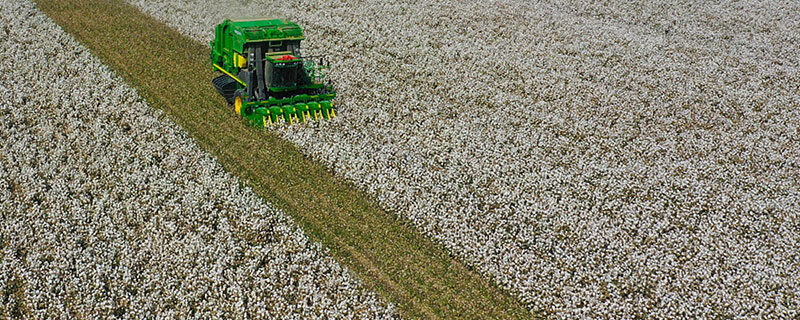 xinjiang province agriculture