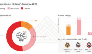 xinjiang province economy